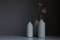 Matte grey stoneware bottle vases holding dried seed pods